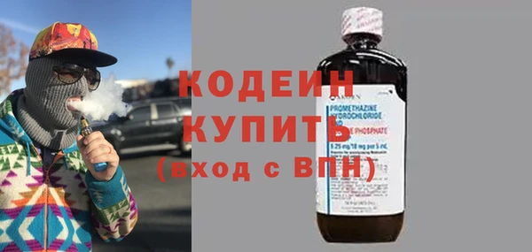 индика Иннополис