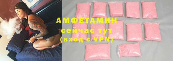 индика Иннополис