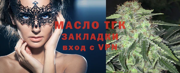 индика Иннополис