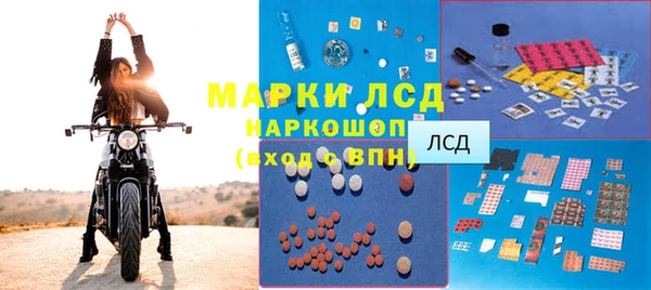 индика Иннополис