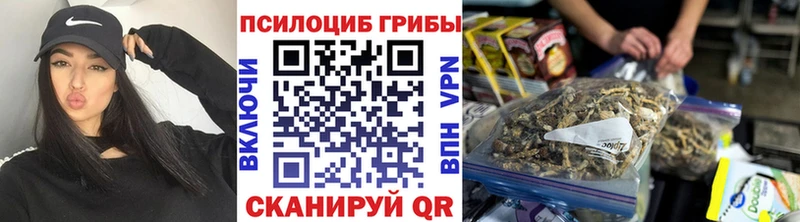 Псилоцибиновые грибы прущие грибы  наркота  Задонск 